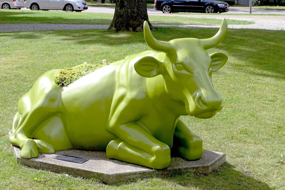 Ventspils Govis – Slepenas "Drop" Zonas Telegram Dīleru Rokās?